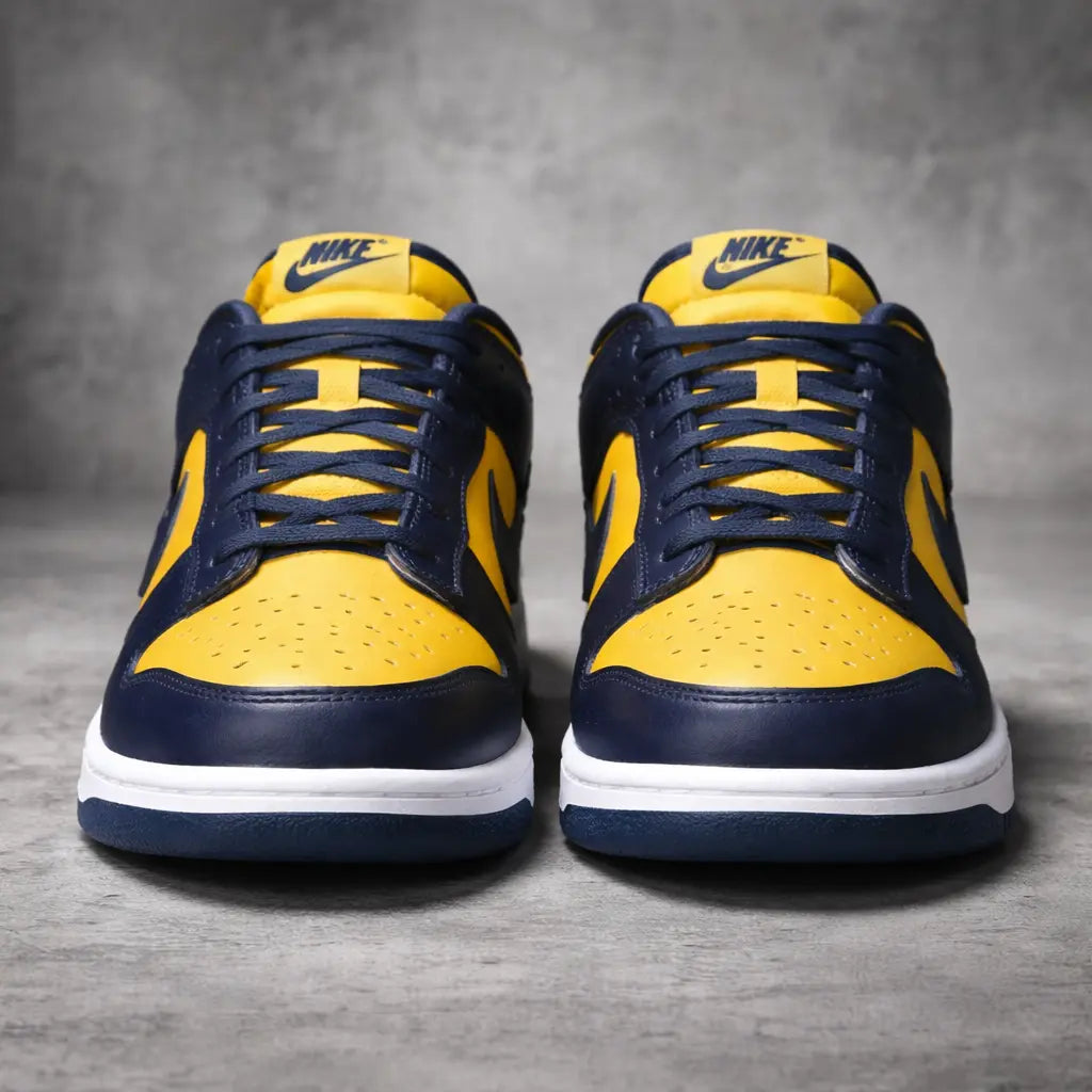 NlKE Dunk Low Michigan